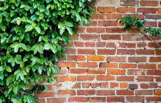 Rustic brick wall texture background. Rich red tones. 