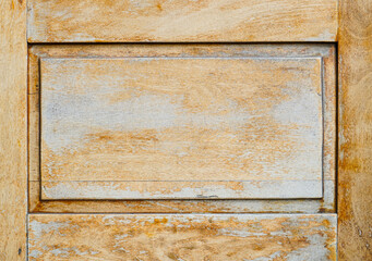 Old wood door texture with empty panel