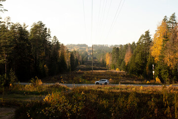 Car ride in autumn forest on sunset