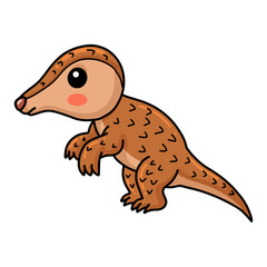 Cute little pangolin cartoon character