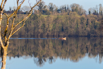 reflection of trees in the water