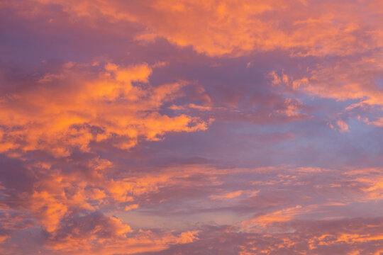 Pink sunset sky. Dark background of the earth's surface. © Rolandas