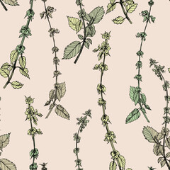 Basil seamless pattern. Design for fabric, wallpaper, textile, surface, packaging