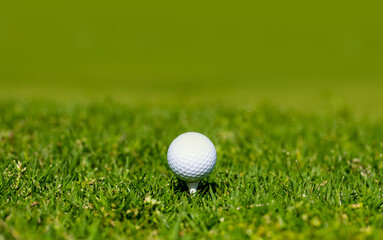 Golf ball in golf green course. Golf ball is on tee on green grass background. Sport golf background with copy space.