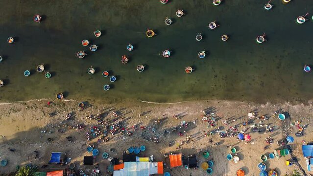 Aerial top down, Vietnam coast crowded with fishermen, round coracle fishing boats floating on shore.