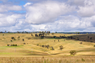 Fototapeta na wymiar Pastures along the Ebor Falls Road - Dorrigo, NSW, Australia
