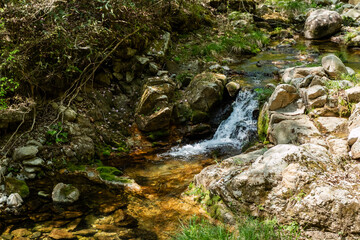 valley water in the mountains. cascade