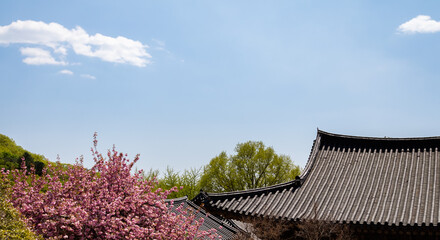 Fototapeta na wymiar Traditional houses and natural scenery in Korea under the blue sky