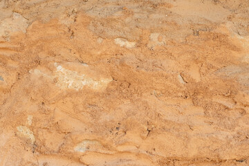 The ocher wall, the texture of the soil.