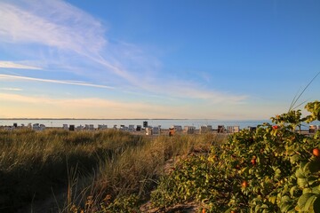 Traumhafter Ostseestrand in Schwedeneck.