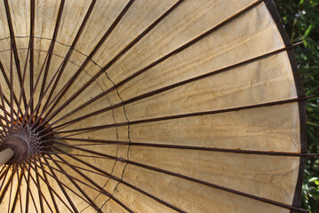 Vintage Asian Style Paper Umbrella Close up With Bamboo in Background