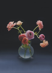 Vase with ranunculus flowers in pastel colors on a black background