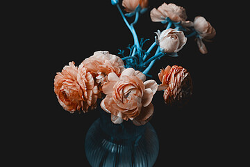 Yellow ranunculus flowers on black background