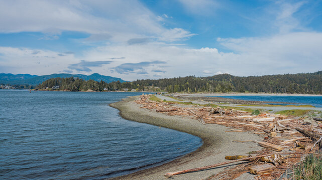 Driftwood-strewn Whiffin Spit, a popular walking trail in Sooke, BC, on a Spring day.