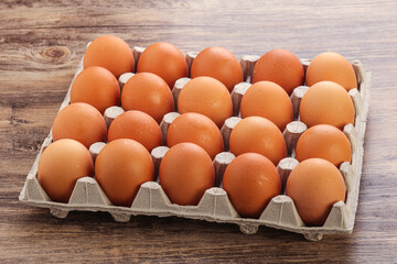 Organic chicken egg in the carton