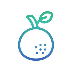 Orange fruit , Spring gradient icon.