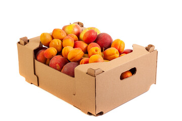 Fresh and tasty organic fruits in cardboard box, isolated on white - 500838053