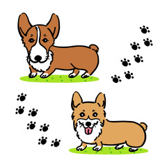 Cute corgi illustration set - vector