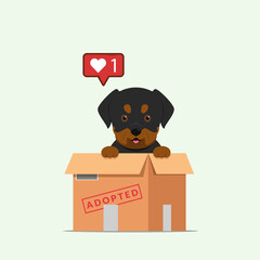 Adopt pet concept illustration. Dog rescue, protection, adoption concept. Flyer, poster template.Cute rottweiler puppy in a box. - obrazy, fototapety, plakaty