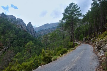 Fototapeta na wymiar Corsica-view of the road in pass Restonica