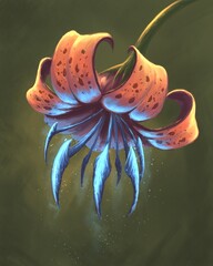 The orange glowing lily flower