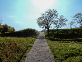 path in the park