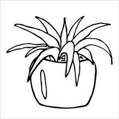 Сute hand drawn houseplant in a pot clipart. Plant illustration isolated on white background. Cozy home doodle.