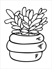 Сute hand drawn houseplant in a pot clipart. Plant illustration isolated on white background. Cozy home doodle.