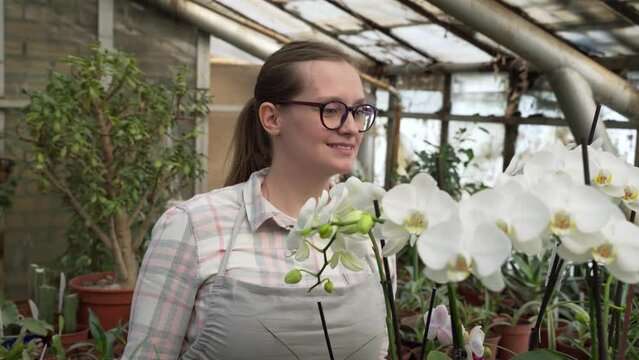 Young farmer inspects orchid flowers in greenhouse. Gardening, botany, plant breeding