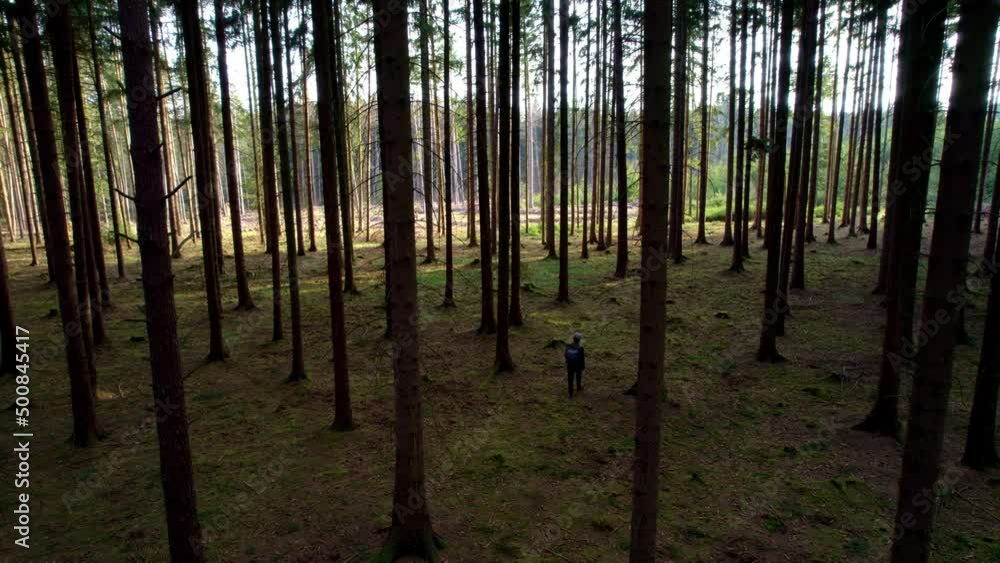 Poster man with a backpack walks through the woods with the rays of the spring sun passing through at sunse