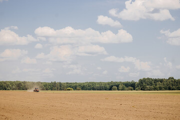 Fototapeta na wymiar The tractor plows the field. Adult European white storks walk across a plowed field in search of food. A plowed field, a strip of forest and a sky with clouds. Landscape