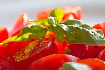 Tomatensalat