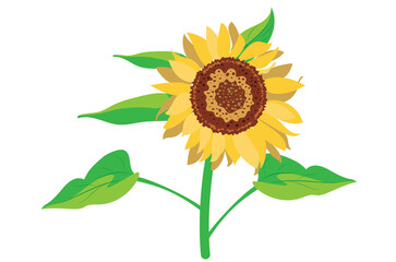 Sunflower simple flat