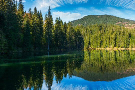 landscape with mountain lake in summer. forest reflection in the water. scenic travel background of synevyr, ukraine. beautiful nature scenery. green outdoor environment