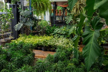 New York City, USA, Lavender - Plant, Flower Pot, Shopping