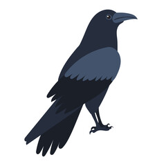 Obraz premium crows flat design, isolated on white background