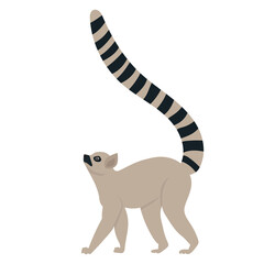 lemur flat design , isolated on white background, vector © zolotons