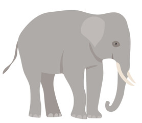 elephant flat design, isolated on white background, vector
