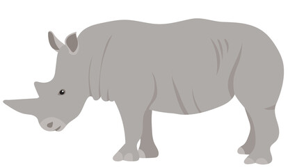 rhinoceros flat design, isolated on white background, vector