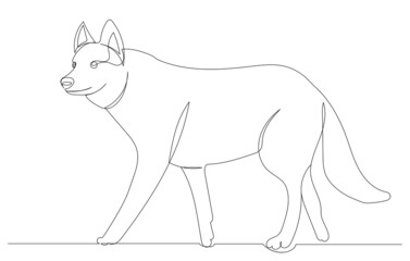 wolf continuous line drawing, sketch, vector