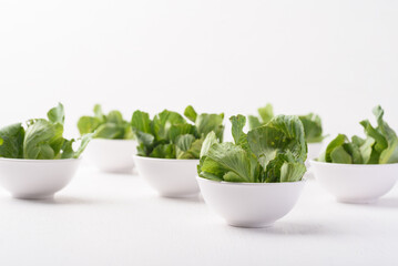 Fresh cabbage sprout on white background. Organic vegetables from local farms are an ingredient in Asian cooking.