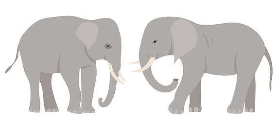 elephant flat design, isolated on white background