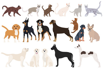 set of dog and cat flat design, isolated on white background, vector