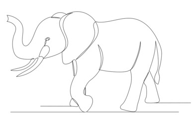 elephant continuous line drawing, sketch, vector