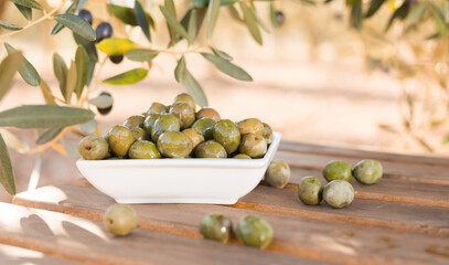 olives on table in an olive grove