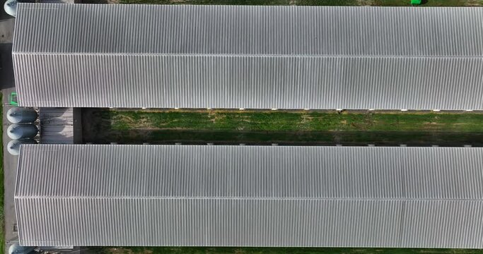 Large Factory Farm Rooftop View. Chicken Egg Production Facility In USA. American Factory Farm Poultry Egg-laying Operation. Top Down Aerial.