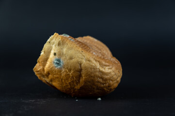 A piece of moldy bread against a black background. A stale piece of wheat loaf.