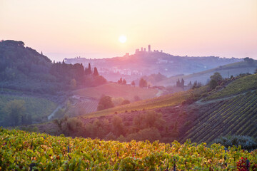 Beautiful valley in Tuscany, Italy. Vineyard and landscape with San Gimignano town at the background