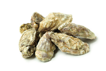 Concept of delicious seafood, oysters isolated on white background