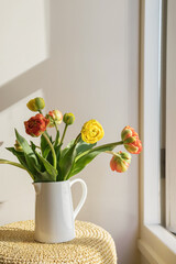 Yellow red tulip flowers with green stems and leaves in a white ceramic pitcher on a light shadow white wall and window background. Creative floral botany wallpaper. Minimal creative greeting card.